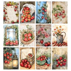 Puede incluir: Una colecci&oacute;n de ilustraciones en acuarela con fresas. Las im&aacute;genes muestran fresas saliendo de un saco, creciendo en vides, en una cesta y en tarros. Algunas im&aacute;genes tienen fondos florales y de papel vintage.