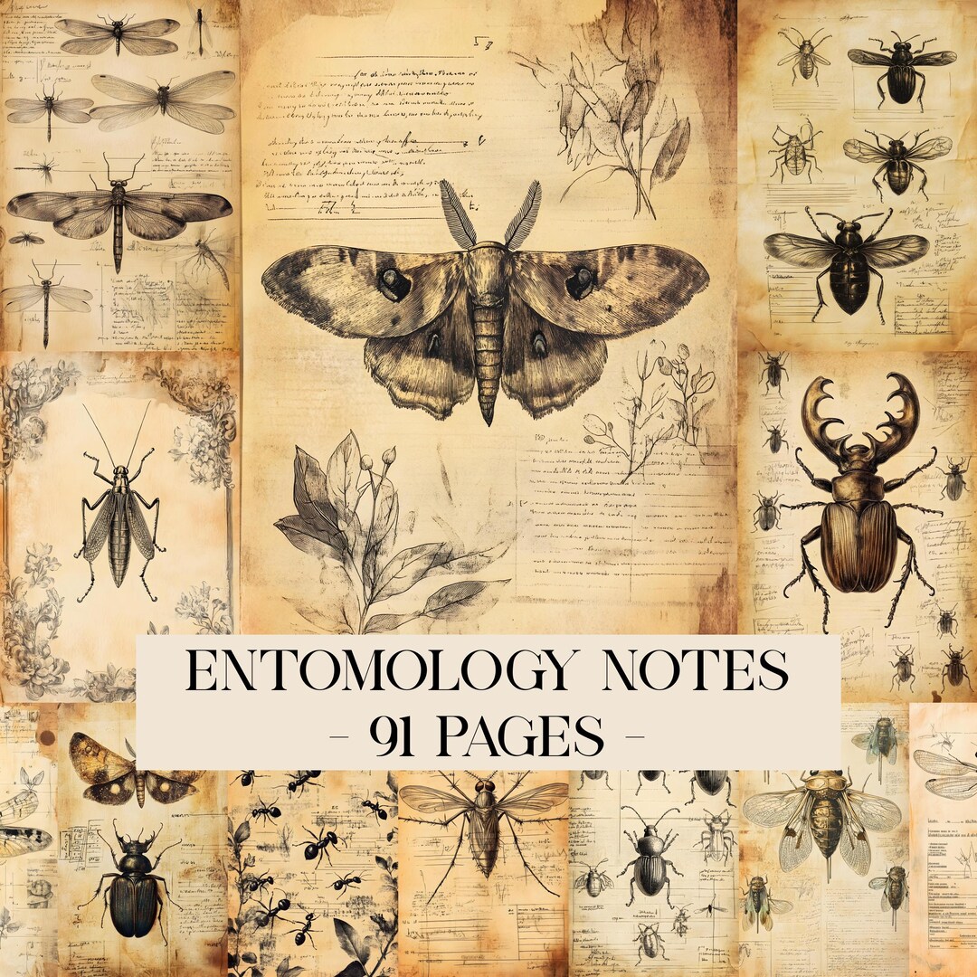 Entomology Field Notes Junk Journal Pages, Vintage Insect Journal ...