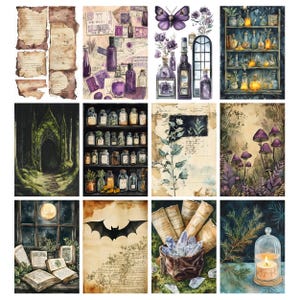 Pu&ograve; includere: Una collezione di illustrazioni ad acquerello a tema mistico. Le immagini includono bottiglie di pozioni, una scena di foresta, un pipistrello, funghi e libri aperti. La tavolozza dei colori &egrave; dominata da sfumature di viola, verde e marrone, con un'estetica vintage.