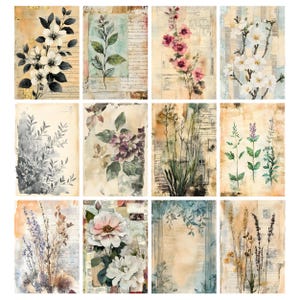 Blomarkivets skräpjournalsidor, vintage botaniskt collagepapper, vintage blomskräpjournalkit, digitala blompapper, efemera bild 5