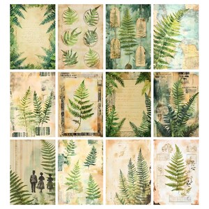May include: A collection of twelve botanical art prints featuring fern illustrations. The prints showcase various fern designs in shades of green, with some prints incorporating vintage paper textures and aged backgrounds. Some prints include text and tags.