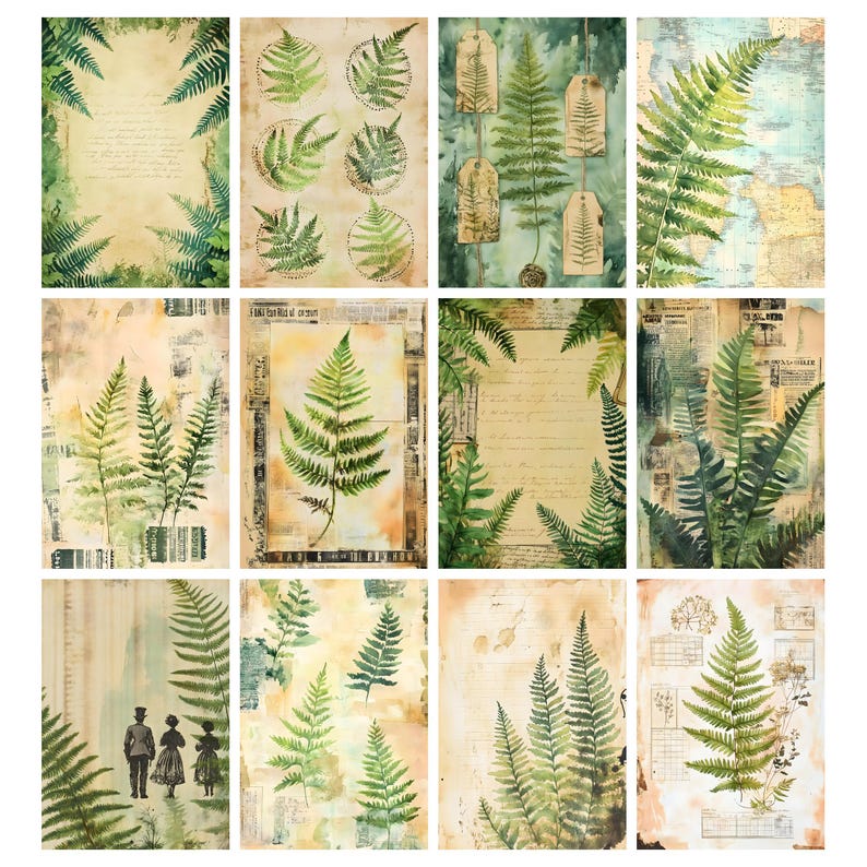 May include: A collection of twelve botanical art prints featuring fern illustrations. The prints showcase various fern designs in shades of green, with some prints incorporating vintage paper textures and aged backgrounds. Some prints include text and tags.