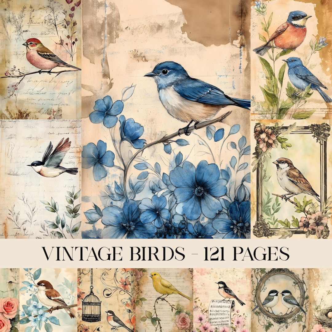 Vintage Birds Junk Journal Pages, Bird Aged Printable Ephemera, Birds ...