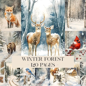 Könnte beinhalten: Aquarellillustrationen von Winterwaldszenen. Das Bild zeigt einen Fuchs, Hirsche, einen Bären, einen Kardinal, einen Bluebird und ein Eichhörnchen in einer verschneiten Landschaft. Text: "Winter Forest - 120 Pages".