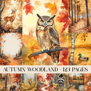 Puede incluir: Ilustraciones en acuarela de una escena de bosque otoñal. La imagen presenta un ciervo, un búho posado en una rama, un sendero forestal, un pato en un lago y otros animales del bosque. El texto "AUTUMN WOODLAND - 123 PAGES" está en la parte inferior.