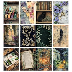 Pu&ograve; includere: Una collezione di illustrazioni ad acquerello con un'estetica vintage. Le immagini includono uno scaffale di bottiglie colorate, una farfalla, un gatto nero, una chiave, una finestra gotica, un diario, foglie, una piuma, un cassetto con forbici, un libro aperto, una biblioteca e una serra.