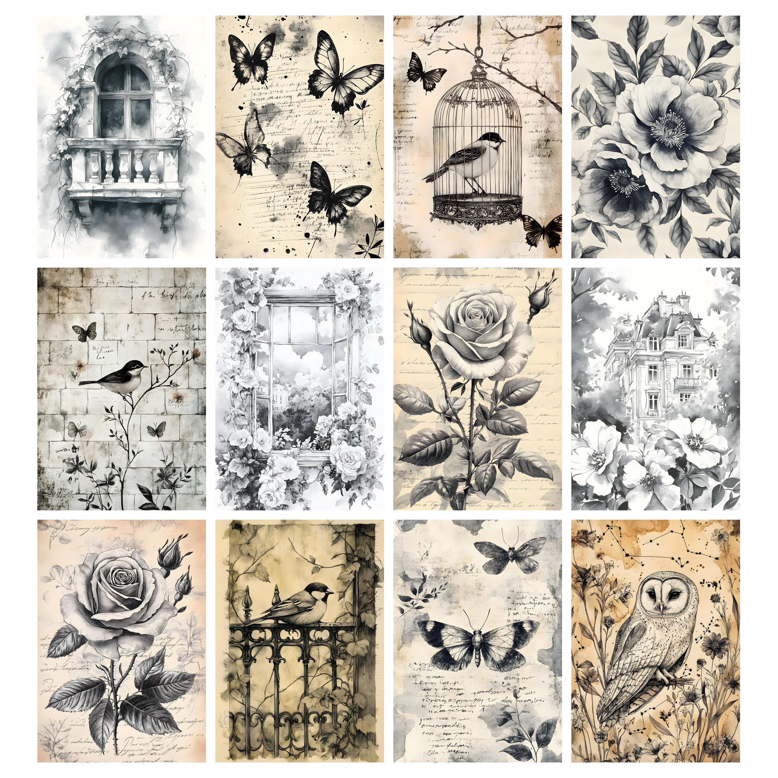 Black White Paper, Ink Saver Printable Stamp Pages, Grunge Botanical ...