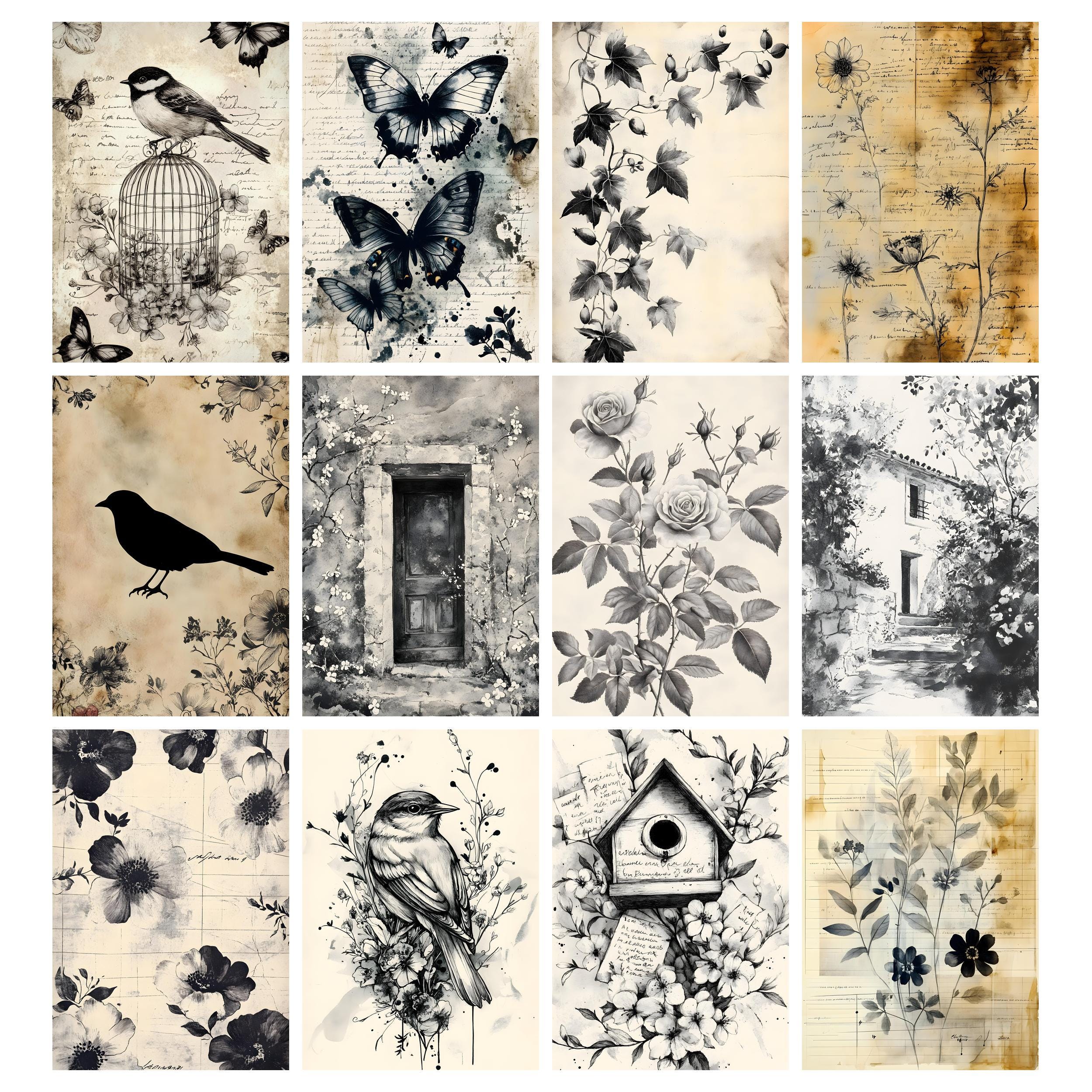 Black White Paper, Ink Saver Printable Stamp Pages, Grunge Botanical ...