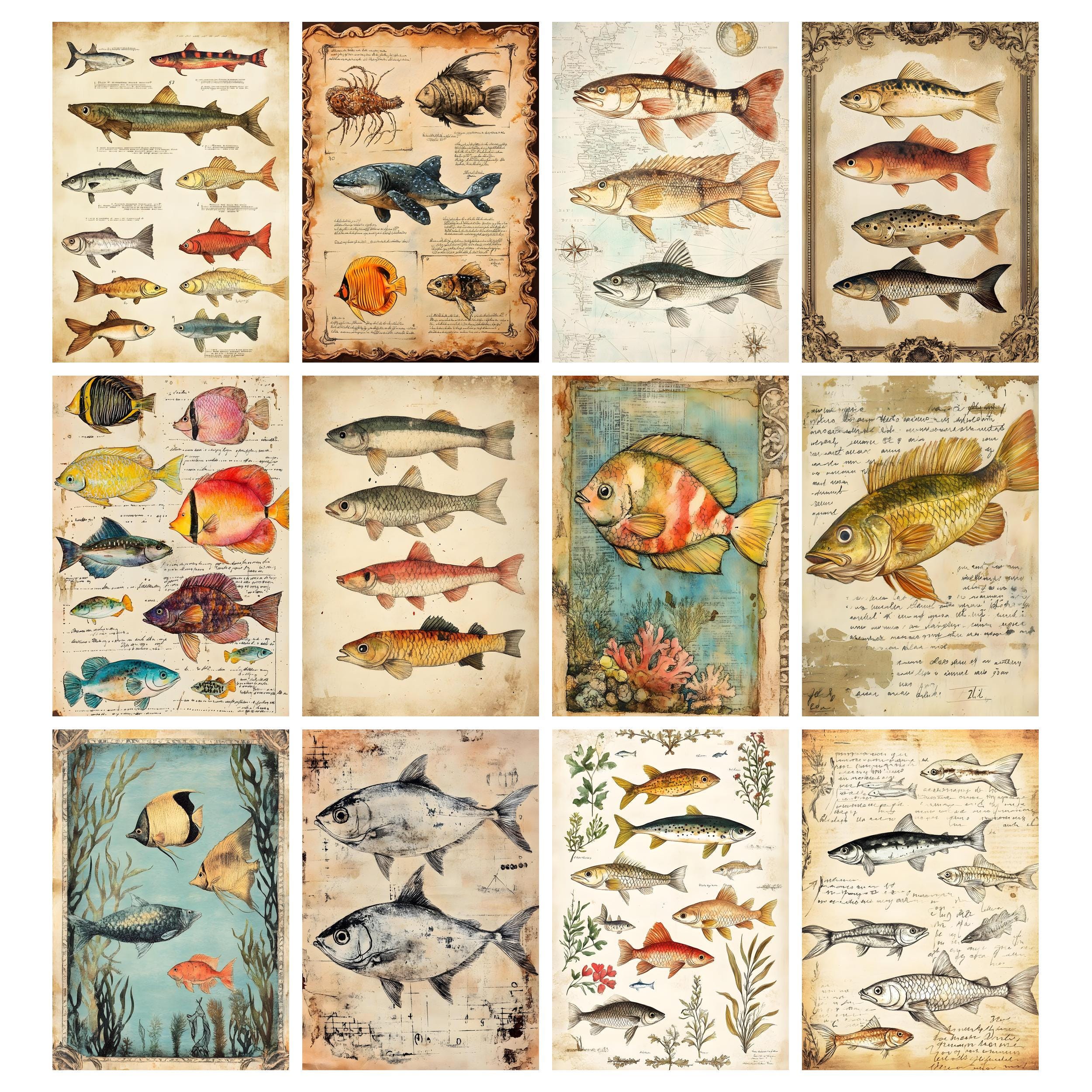 River Fish Junk Journal Pages Marine Creatures Printable Ephemera 