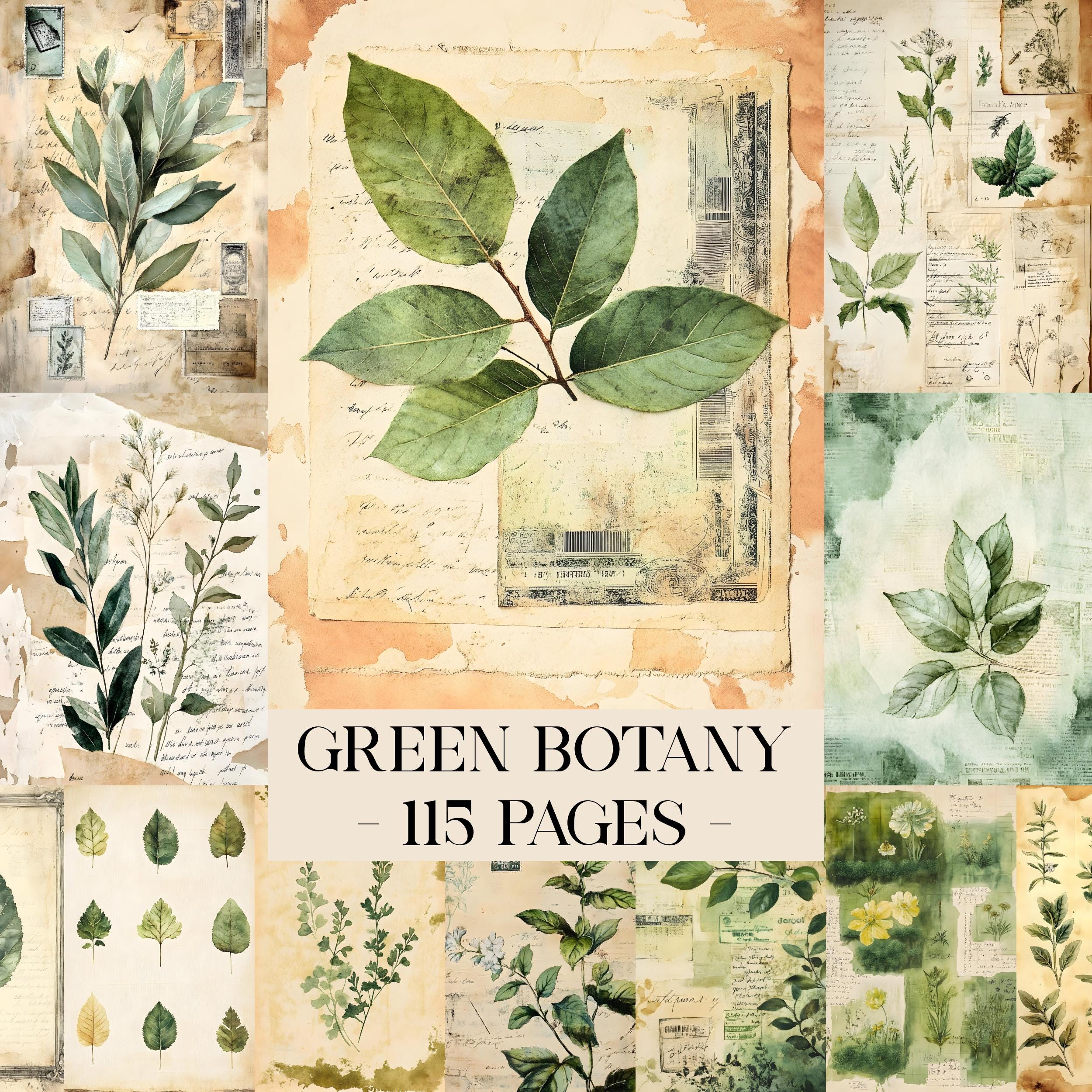 Botanical Green Junk Journal Printable Pages, Rustic Herbs Pages ...