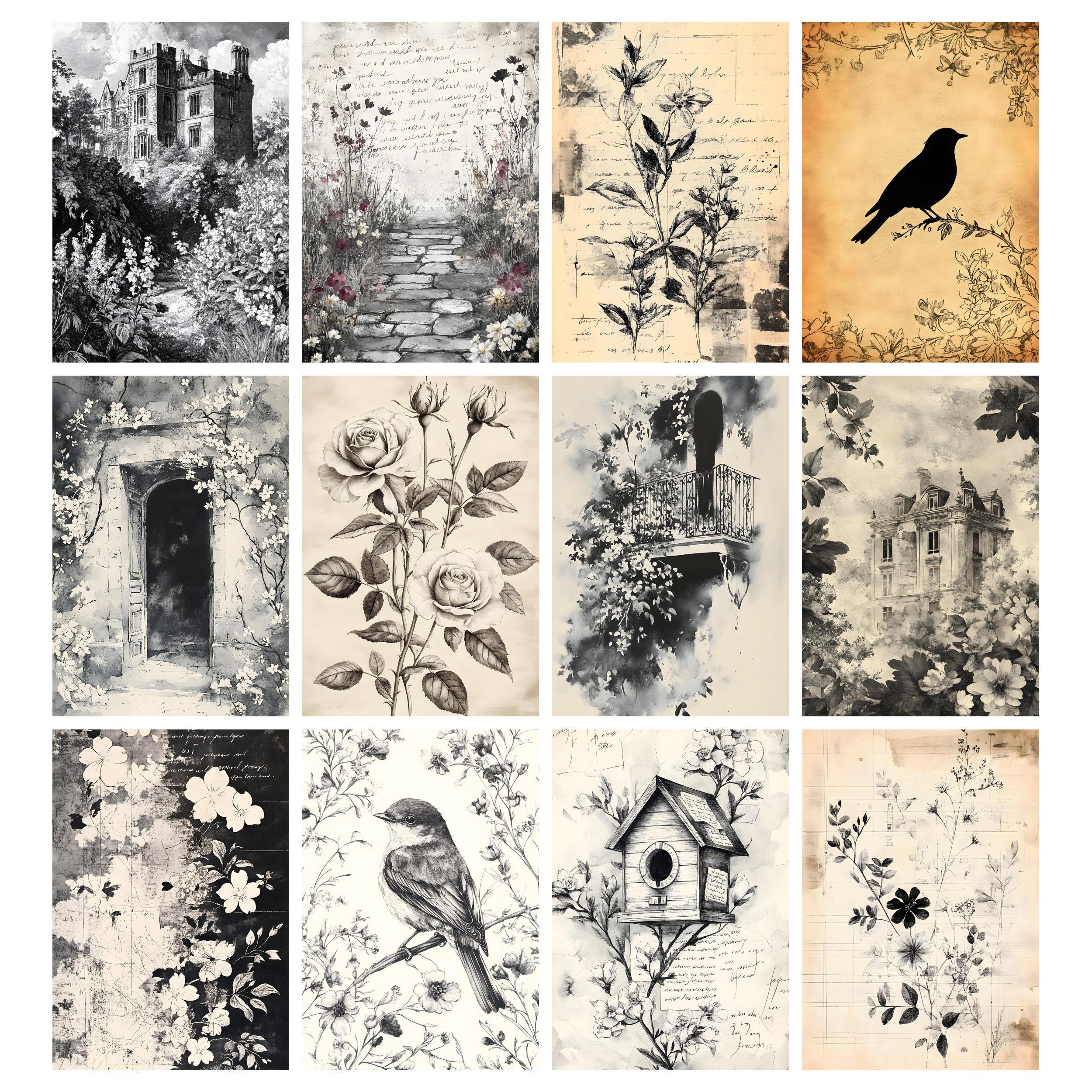 Black White Paper, Ink Saver Printable Stamp Pages, Grunge Botanical ...