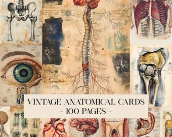Vintage Anatomical Journaling Cards, Printable Anatomy Junk Journal Ephemera, Digital Medical Scrapbook Paper Kit, Collage Sheet Journal Kit