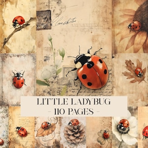 Puede incluir: Un collage con ilustraciones de mariquitas sobre fondos de papel vintage. La imagen incluye el texto "LITTLE LADYBUG - 110 PAGES". Las mariquitas son rojas con manchas negras, y los fondos tienen un tono sepia.