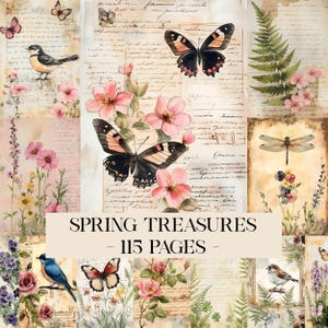 Puede incluir: Un collage de ilustraciones de estilo vintage con mariposas, pájaros, flores y escritura a mano. El texto "SPRING TREASURES - 115 PAGES" se muestra en una pancarta color crema. La paleta de colores incluye rosas, verdes y marrones suaves.