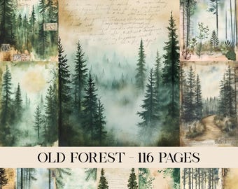 May include: A collection of watercolor forest art prints. The images depict tall evergreen trees in a misty forest setting. The color palette includes greens, browns, and beige. The text "OLD FOREST - 116 PAGES" is displayed at the bottom of the image.