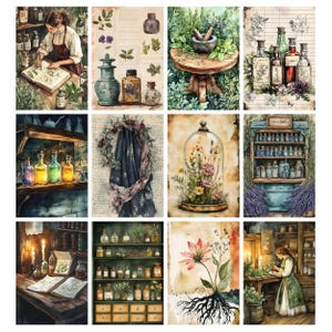 May include: A collection of watercolor illustrations depicting apothecary themes. Images include a woman writing in a book, bottles, herbs, a mortar and pestle, a cloche with flowers, and shelves filled with bottles. The color palette is muted with greens, browns, and blues.