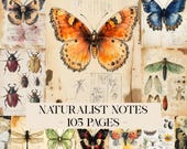 Naturalist Notes Junk Journal Kit, Digital Scrapbook Paper, Specimen Printable, Butterfly Pages Vintage Ephemera Botanical Field Guide Paper