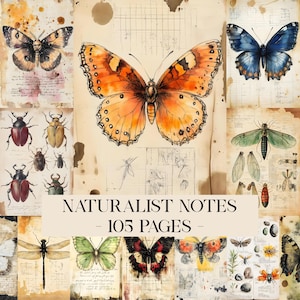 Può includere: Un collage di illustrazioni vintage di farfalle, coleotteri e altri insetti, su carta invecchiata con note manoscritte e macchie. Il testo "NATURALIST NOTES - 105 PAGES" è visibile. Tema naturalistico.