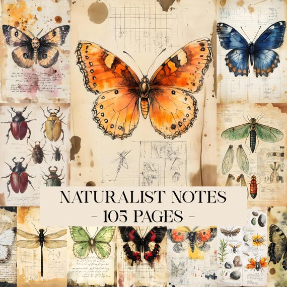 Naturalist Notes Junk Journal Kit, Digital Scrapbook Paper, Specimen Printable, Butterfly Pages Vintage Ephemera Botanical Field Guide Paper