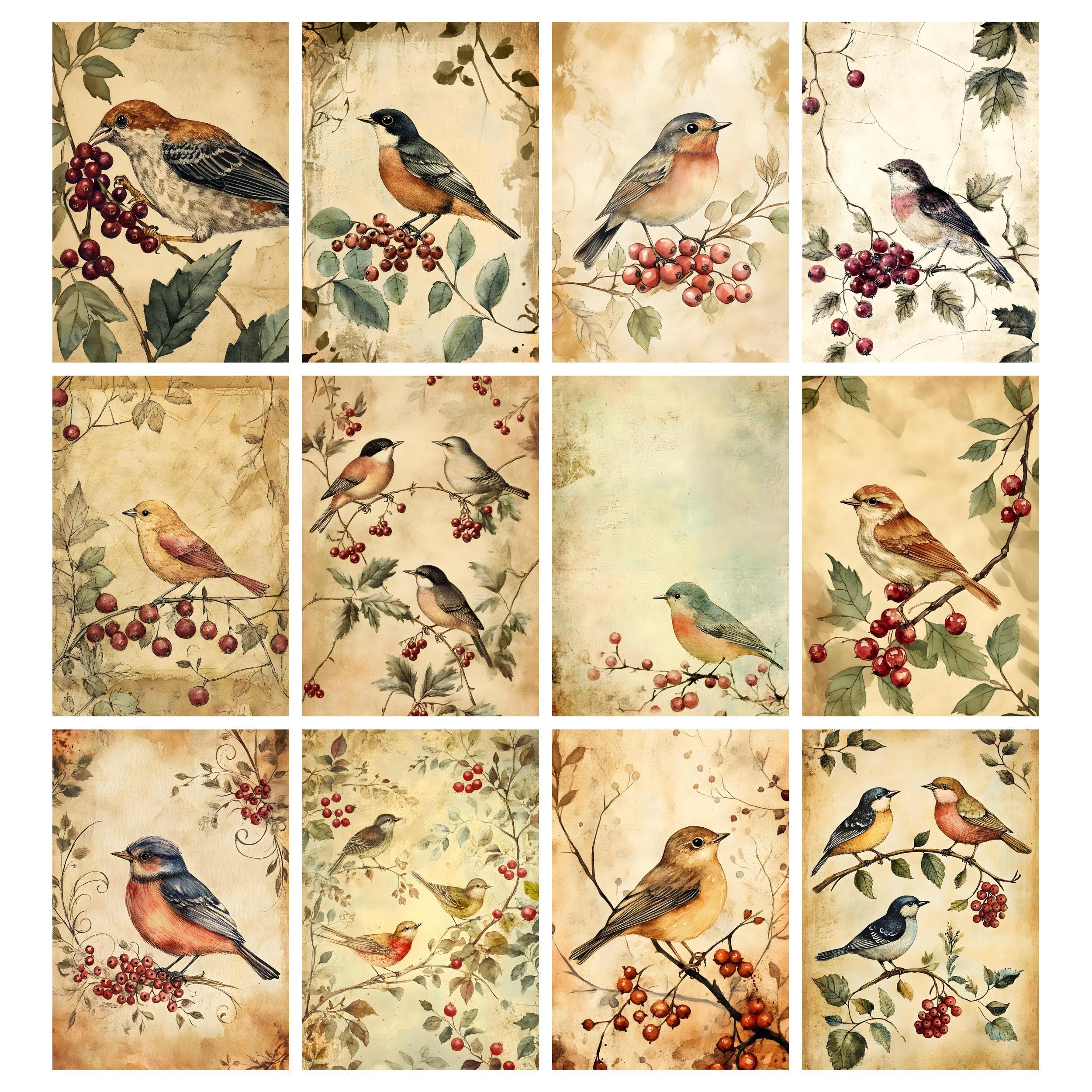Watercolor Birds Junk Journal Printable Pages, Vintage Birds Junk ...