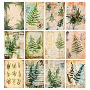 May include: A collection of twelve botanical art prints featuring fern illustrations. The prints showcase various fern arrangements in shades of green, set against vintage-style backgrounds with aged paper textures, stamps, and handwritten notes.