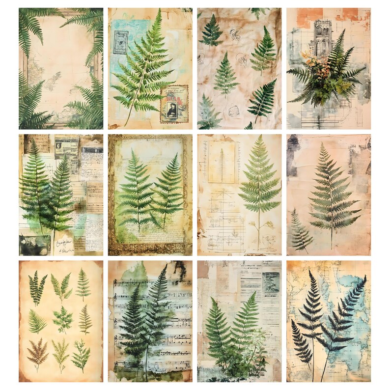 May include: A collection of twelve botanical art prints featuring fern illustrations. The prints showcase various fern arrangements in shades of green, set against vintage-style backgrounds with aged paper textures, stamps, and handwritten notes.