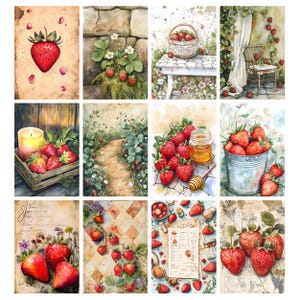 Puede incluir: Una colecci&oacute;n de ilustraciones en acuarela con fresas. Las im&aacute;genes muestran fresas en varios entornos, incluyendo una cesta, una caja de madera con una vela encendida y un cubo de metal. Algunas im&aacute;genes incluyen miel y un cuchar&oacute;n de miel.