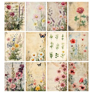 May include: A collection of twelve vintage-style floral art prints. Each print features watercolor illustrations of various flowers, including daisies, roses, and lavender, set against a backdrop of aged paper with handwritten script and musical notes.