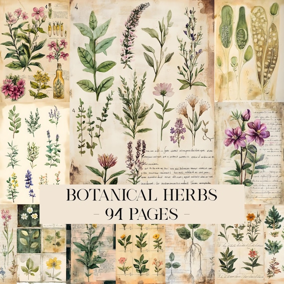Botanical Herbs Junk Journal Pages, Digital Scrapbook Paper Kit, Herbal Printable, Antique Collage Sheet, Vintage Plant Ephemera, Apothecary