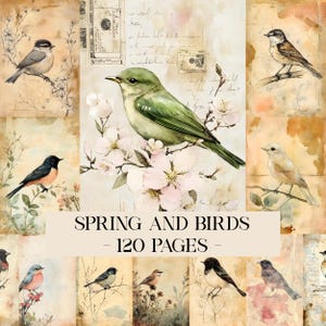 Könnte beinhalten: Eine Collage von Aquarellillustrationen mit verschiedenen Vögeln, die auf Ästen und blühenden Blumen sitzen. Das Kunstwerk hat eine Vintage-Ästhetik mit einer weichen Farbpalette aus Grün, Rosa und Braun. Der Text unten lautet "SPRING AND BIRDS - 120 PAGES".