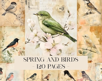 Birds Junk Journal Kit, Bird Collage Paper, Bird Paper, Spring Journal, Spring Flowers Ephemera, Vintage Papers, Digital Scrapbooking Papers