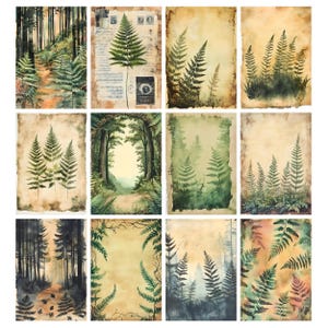 May include: A collection of twelve watercolor art prints featuring fern illustrations and forest scenes. The prints showcase various compositions, including close-ups of ferns, forest paths, and archways, all rendered in a muted color palette of greens, browns, and yellows.
