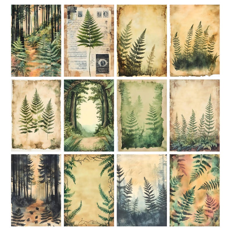 May include: A collection of twelve watercolor art prints featuring fern illustrations and forest scenes. The prints showcase various compositions, including close-ups of ferns, forest paths, and archways, all rendered in a muted color palette of greens, browns, and yellows.