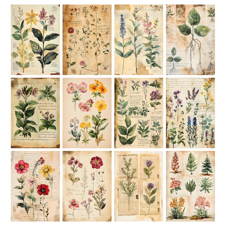 May include: A collection of twelve botanical prints featuring detailed illustrations of various flowers and plants. The prints showcase a vintage aesthetic with aged paper backgrounds and delicate watercolor-style artwork. The color palette includes greens, yellows, pinks, and purples.