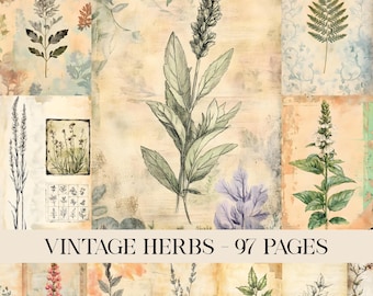 Vintage Herbs Junk Journal Printable Pages, Junk Journal Kit, Scrapbook Printable, Printable Paper, Digital Collage, Digital Paper, Ephemera