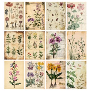 May include: A collection of twelve botanical prints featuring various flowers and plants. The prints showcase detailed illustrations in shades of red, purple, yellow, and green, set against a vintage, aged paper background. The prints are arranged in a grid.