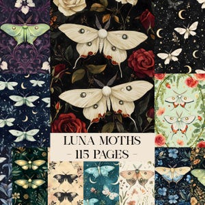 Puede incluir: Un collage de varias ilustraciones de polillas Luna sobre una variedad de fondos. Los fondos incluyen patrones florales, cielos nocturnos oscuros y diseños botánicos. El texto "LUNA MOTHS - 115 PAGES" se muestra en el centro.