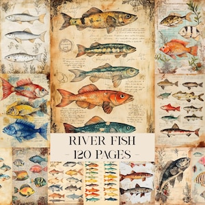 Może przedstawiać: Kolaż ilustracji różnych gatunków ryb, w tym różnorodność kolorów i wzorów. Obraz zawiera tekst "RIVER FISH - 120 PAGES". Ilustracje są osadzone na tle postarzanego papieru.