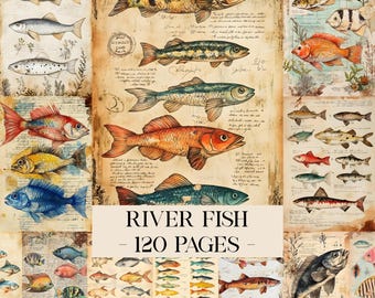 May include: A collection of illustrated fish species in various colours and patterns, set against a backdrop of aged paper. The image includes the text "RIVER FISH - 120 PAGES". The illustrations depict a variety of freshwater fish.