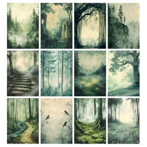 May include: A collection of twelve watercolor paintings depicting serene forest scenes. Each artwork features misty landscapes with trees, pathways, and subtle color palettes of greens, blues, and browns. Some include architectural ruins and birds.