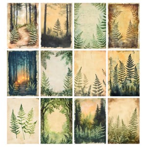 May include: A collection of twelve watercolor art prints featuring forest scenes and ferns. The prints showcase a variety of forest landscapes, with paths, trees, and ferns in shades of green, brown, and yellow. The art has a vintage, antique aesthetic.