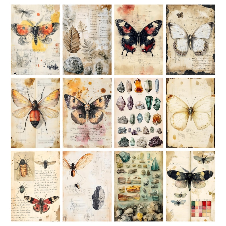 May include: A collection of twelve vintage-style prints featuring watercolor illustrations of butterflies, insects, and crystals. The prints have a distressed, aged paper background with handwritten notes and scientific diagrams. The color palette includes earthy tones, with pops of red, orange, and blue.