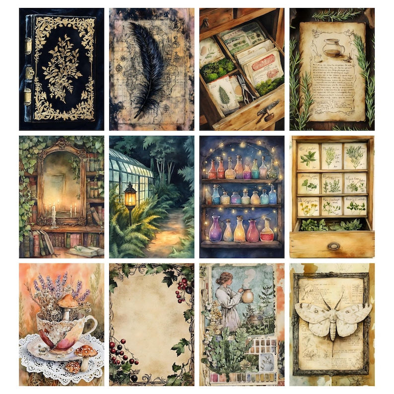 Pu&ograve; includere: Una collezione di illustrazioni ad acquerello con temi botanici e da farmacista. Le immagini includono un libro dettagliato, una piuma, un cassetto con erbe, una pagina con testo, uno specchio, una serra, scaffali con bottiglie, una tazza con fiori, una pagina bianca, una persona con piante e una falena.