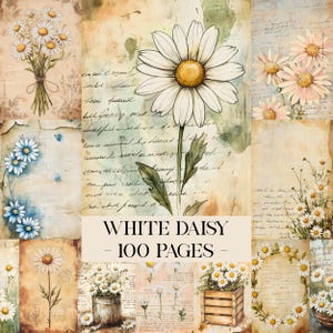 Könnte beinhalten: Eine Collage von Aquarell-Gänseblümchen-Illustrationen in verschiedenen Anordnungen. Die Bilder zeigen weiße Gänseblümchen mit gelben Zentren, einige in Sträußen und andere als einzelne Blumen. Der Text "WHITE DAISY - 100 PAGES" ist zu sehen.