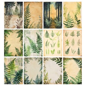 May include: A collection of twelve vintage-style botanical prints. The prints feature watercolor illustrations of ferns and forest scenes in shades of green, brown, and beige. The prints have a distressed, aged appearance, suggesting they are antique or vintage.