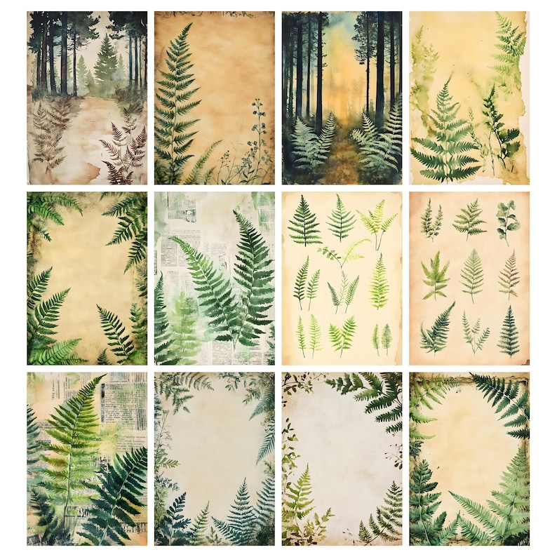 May include: A collection of twelve vintage-style botanical prints. The prints feature watercolor illustrations of ferns and forest scenes in shades of green, brown, and beige. The prints have a distressed, aged appearance, suggesting they are antique or vintage.