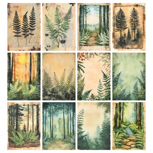 May include: A collection of twelve watercolor art prints featuring forest and fern illustrations. The prints showcase various forest scenes with ferns, trees, and pathways. The color palette includes greens, browns, and yellows, with some prints having a vintage paper background.