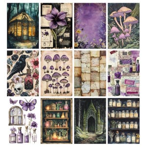 Pu&ograve; includere: Una collezione di illustrazioni ad acquerello con temi botanici e fantasy. Le immagini includono una serra, un grande fiore viola, funghi, un corvo, bottiglie di pozioni e una mensola con barattoli. La tavolozza dei colori &egrave; dominata da viola, verde e marrone.