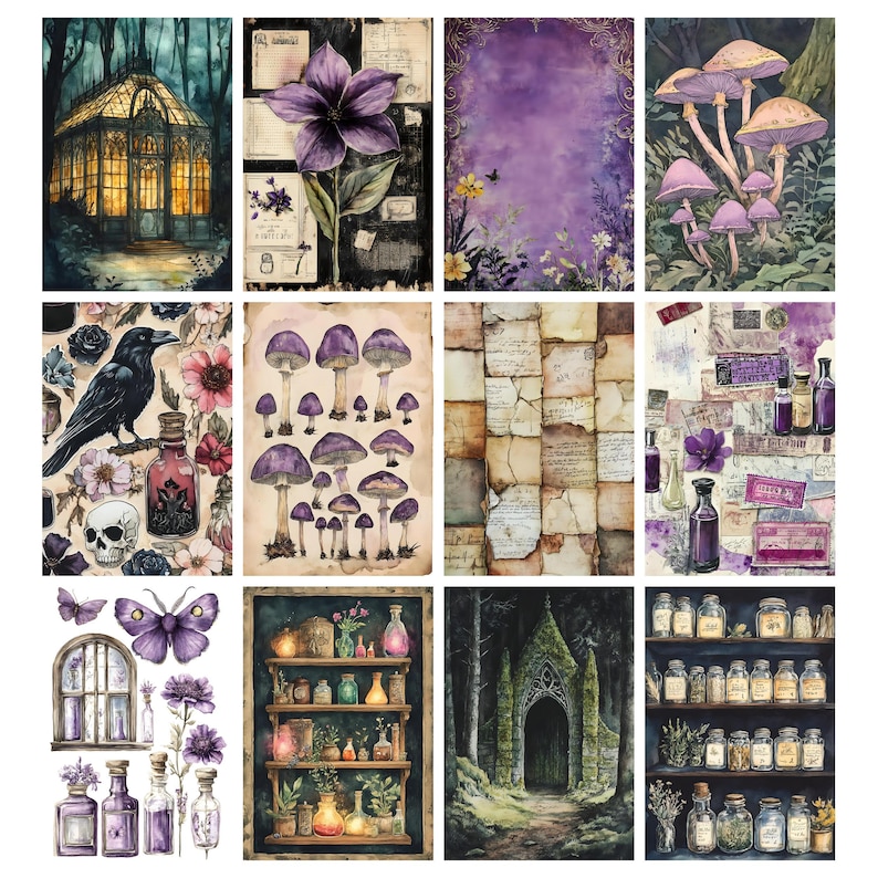 Pu&ograve; includere: Una collezione di illustrazioni ad acquerello con temi botanici e fantasy. Le immagini includono una serra, un grande fiore viola, funghi, un corvo, bottiglie di pozioni e una mensola con barattoli. La tavolozza dei colori &egrave; dominata da viola, verde e marrone.