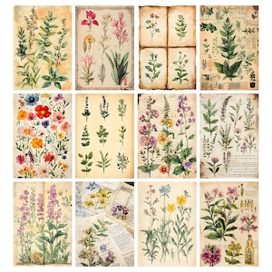May include: A collection of botanical art prints featuring watercolor illustrations of various flowers and plants. The prints showcase a vintage aesthetic with aged paper backgrounds and detailed botanical drawings. The color palette includes greens, pinks, yellows, and purples.